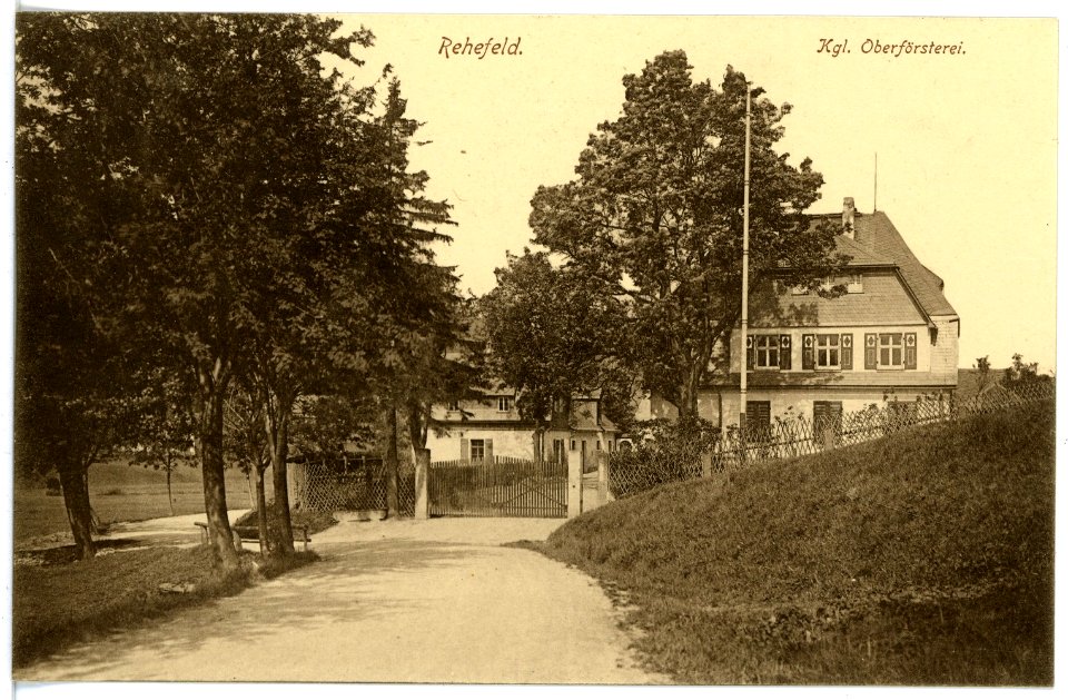 16950-Rehefeld-1913-Königliche Oberförsterei-Brück & Sohn Kunstverlag