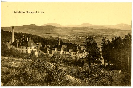 16873-Neustadt-1913-Heilstätte Hohwald-Brück & Sohn Kunstverlag