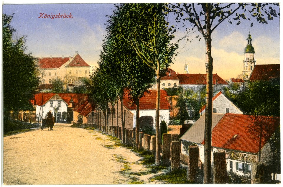 17396-Königsbrück-1914-Blick auf Königsbrück-Brück & Sohn Kunstverlag