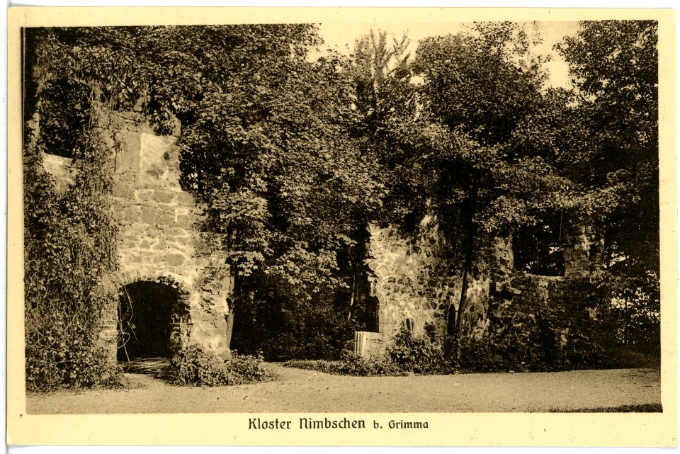 17279-Grimma-1914-Nimbschen Klosterruine-Brück & Sohn Kunstverlag