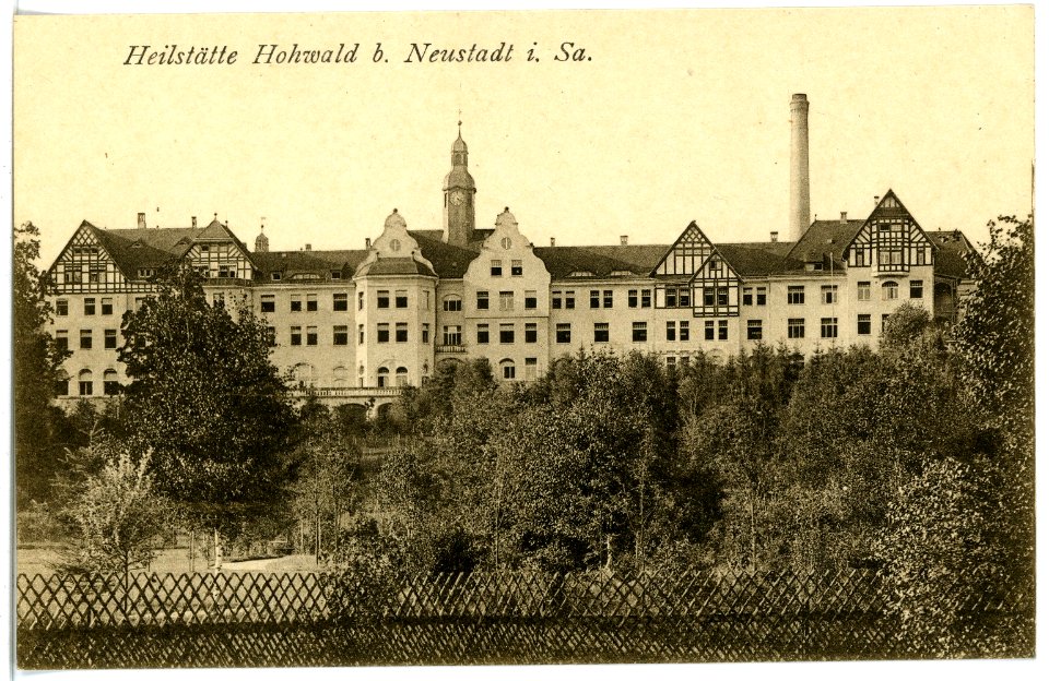 16871-Neustadt-1913-Heilstätte Hohwald-Brück & Sohn Kunstverlag