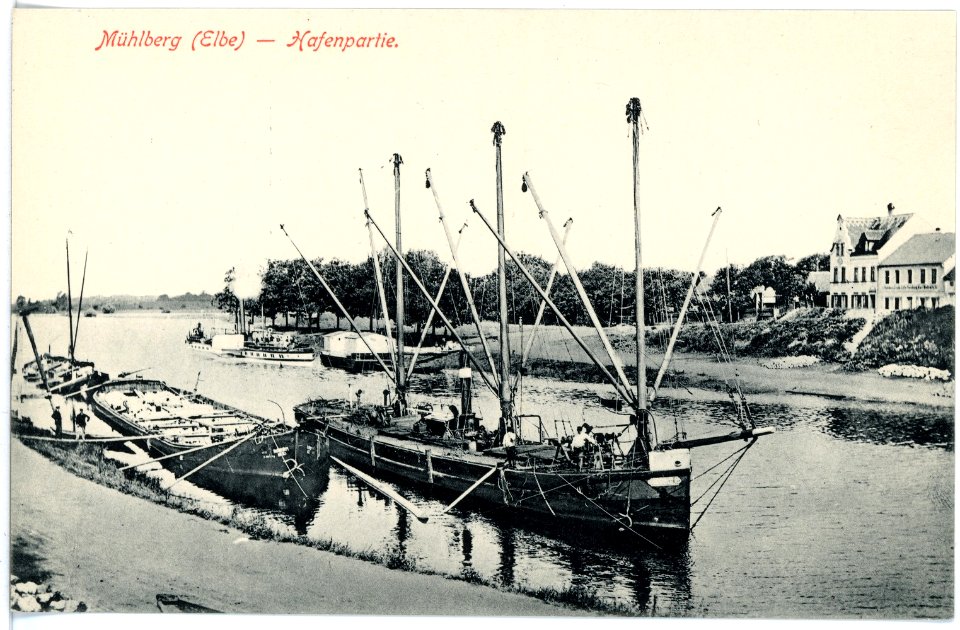 16553-Mühlberg-1913-Hafen mit Lastkähnen-Brück & Sohn Kunstverlag