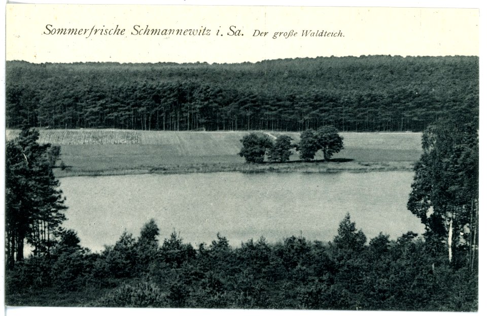 16924-Schmannewitz-1913-Der große Waldteich-Brück & Sohn Kunstverlag