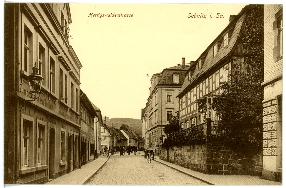 16945-Sebnitz-1913-Hertigswalder Straße-Brück & Sohn Kunstverlag