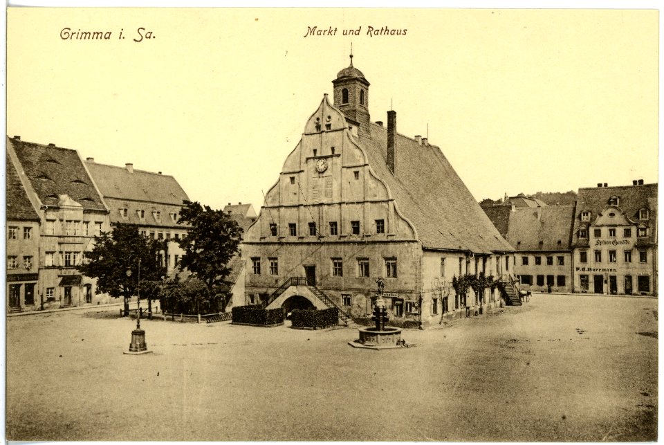 17177-Grimma-1913-Rathaus-Brück & Sohn Kunstverlag
