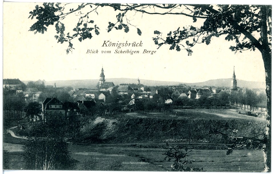 17219-Königsbrück-1913-Blick auf Königsbrück vom Scheibigen Berge-Brück & Sohn Kunstverlag