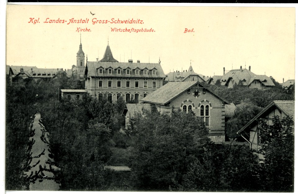 16500-Groß-Schweidnitz-1913-Landesanstalt - Wirtschaftsgebäude-Brück & Sohn Kunstverlag