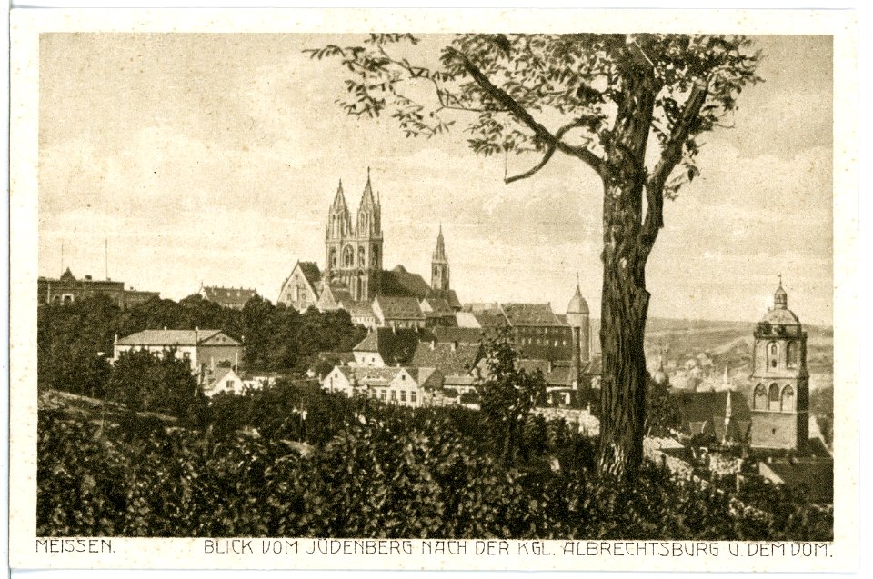 17204-Meißen-1913-Blick vom Jüdenberg nach der Albrechtsburg-Brück & Sohn Kunstverlag