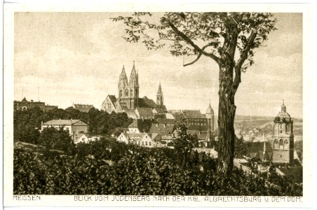 17204-Meißen-1913-Blick vom Jüdenberg nach der Albrechtsburg-Brück & Sohn Kunstverlag