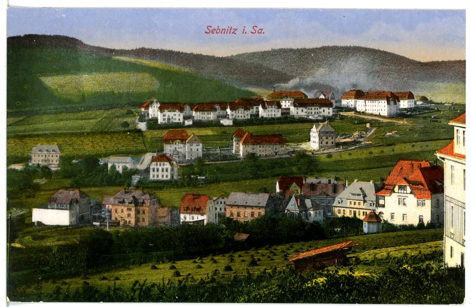 17104-Sebnitz-1913-Blick auf Sebnitz-Brück & Sohn Kunstverlag