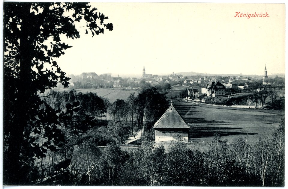 17222-Königsbrück-1913-Blick auf Königsbrück-Brück & Sohn Kunstverlag