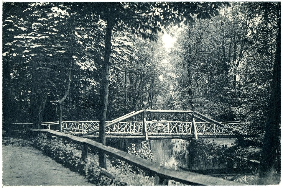 16575-Liebenwerda-1913-Partie im Wäldchen-Brück & Sohn Kunstverlag