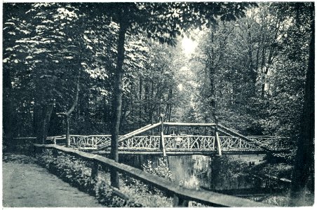 16575-Liebenwerda-1913-Partie im Wäldchen-Brück & Sohn Kunstverlag