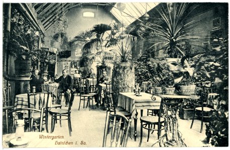 17138-Hainichen-1913-Wintergarten-Brück & Sohn Kunstverlag