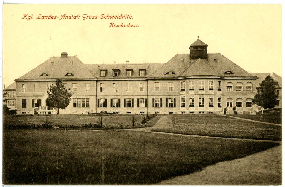 16581-Groß-Schweidnitz-1913-Krankenhaus-Brück & Sohn Kunstverlag