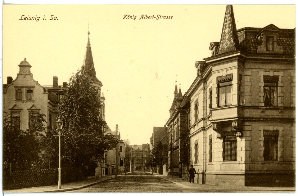 17246-Leisnig-1913-König-Albert-Straße-Brück & Sohn Kunstverlag