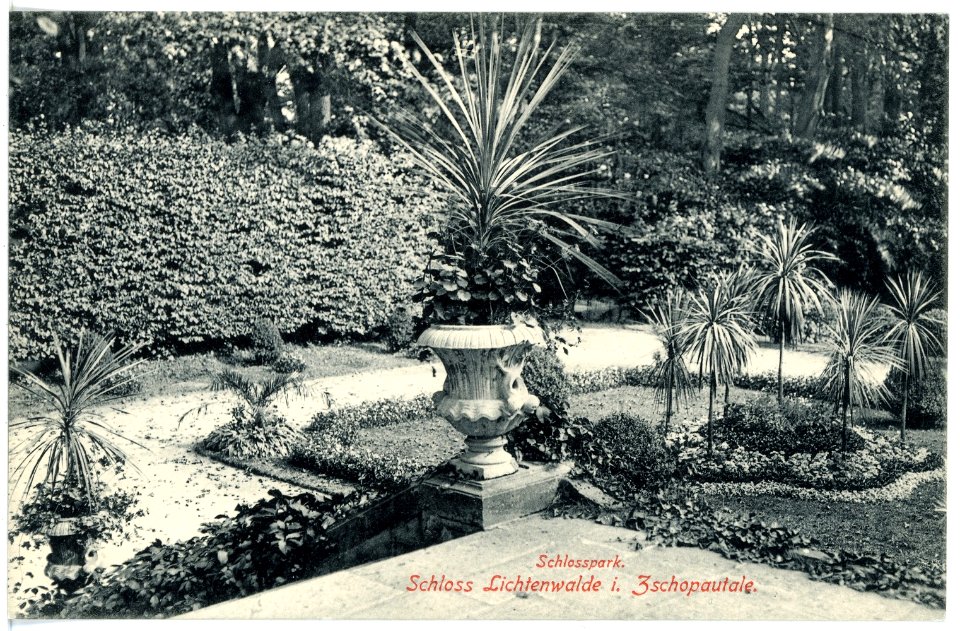 16550-Lichtenwalde-1913-Schloßpark-Brück & Sohn Kunstverlag
