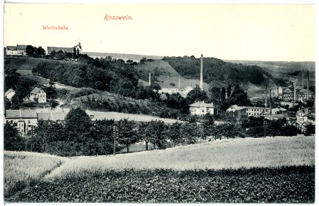 16621-Roßwein-1913-Blick auf Roßwein und die Wettinhöhe-Brück & Sohn Kunstverlag