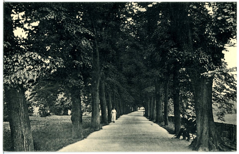 17031-Grimma-1913-Ringpromenade-Brück & Sohn Kunstverlag