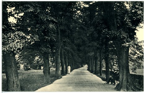 17031-Grimma-1913-Ringpromenade-Brück & Sohn Kunstverlag