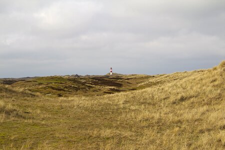 Dune nature reserve northern germany photo