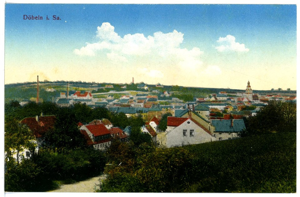 15919-Döbeln-1913-Blick auf Döbeln-Brück & Sohn Kunstverlag