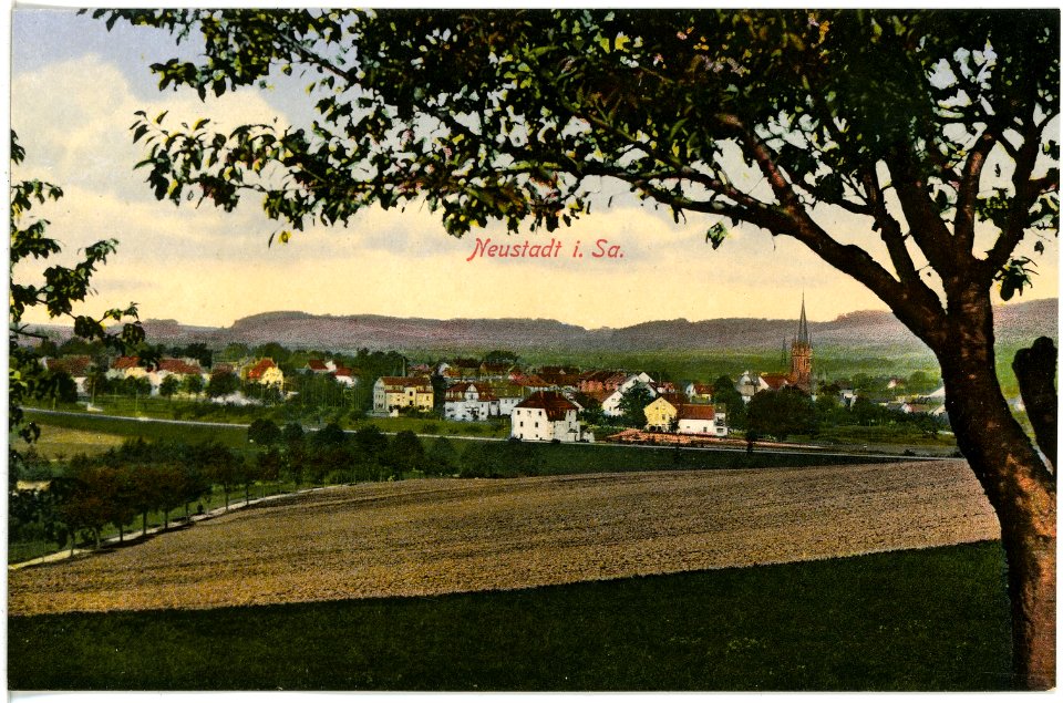 17127-Neustadt-1913-Blick auf Neustadt-Brück & Sohn Kunstverlag