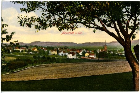 17127-Neustadt-1913-Blick auf Neustadt-Brück & Sohn Kunstverlag