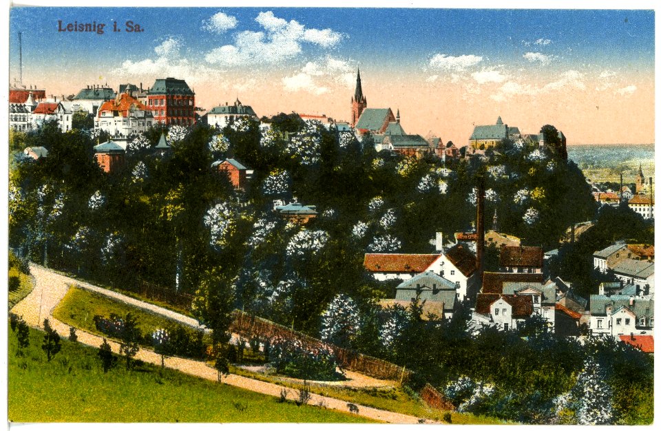 17023-Leisnig-1913-Blick auf Leisnig-Brück & Sohn Kunstverlag