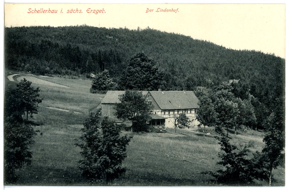 16271-Schellerhau-1913-Lindenhof-Brück & Sohn Kunstverlag