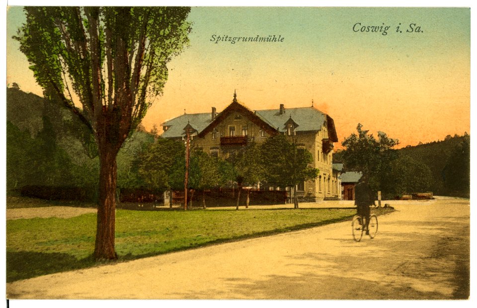 15781-Coswig-1913-Spitzgrundmühle-Brück & Sohn Kunstverlag