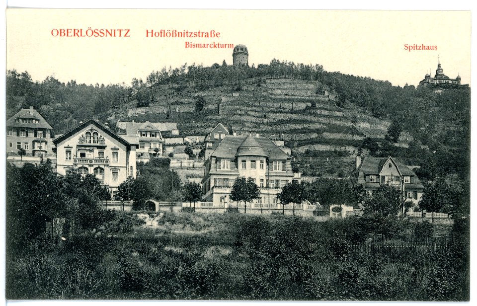 15970-Radebeul-1913-Oberlößnitz - Hoflößnitzstraße-Brück & Sohn Kunstverlag