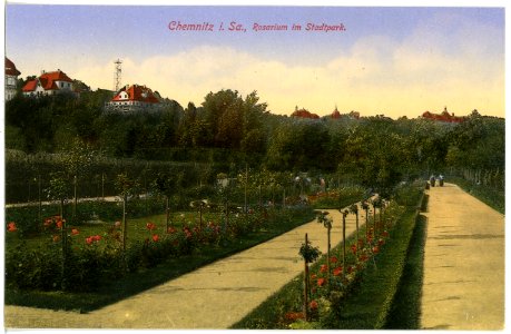 17066-Chemnitz-1913-Rosarium im Stadtpark-Brück & Sohn Kunstverlag