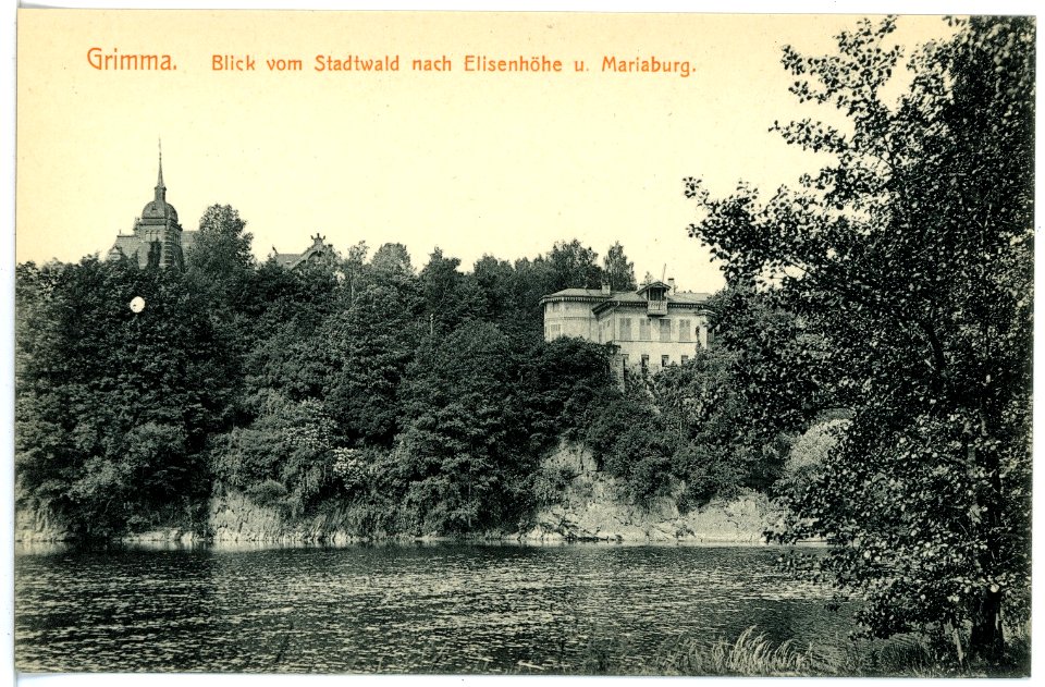 16306-Grimma-1913-Blick vom Stadtwald nach Elisenhöhe und Mariaburg-Brück & Sohn Kunstverlag