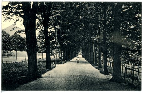 17032-Grimma-1913-Ringpromenade-Brück & Sohn Kunstverlag