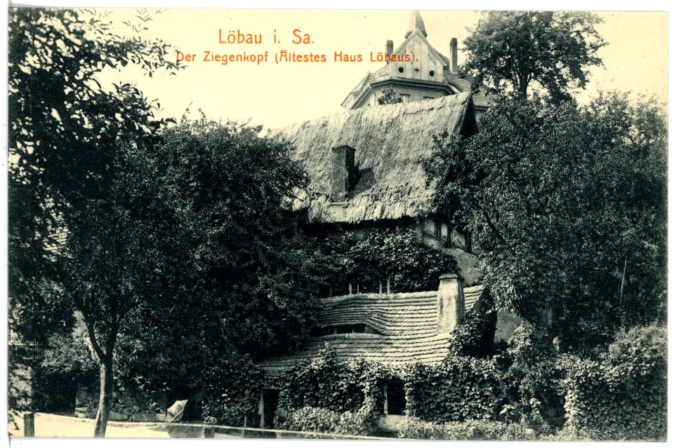 16689-Löbau-1913-Ziegenkopf (Ältestes Haus Löbaus)-Brück & Sohn Kunstverlag