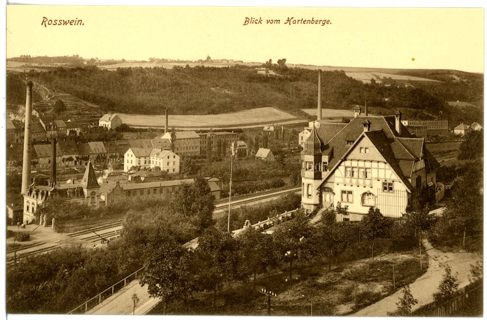 16672-Roßwein-1913-Blick auf Roßwein vom Hartenberge-Brück & Sohn Kunstverlag
