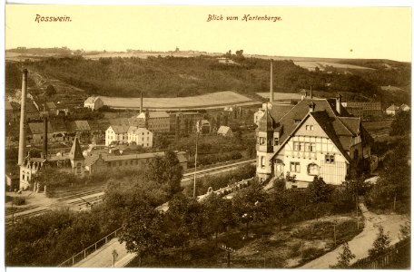 16672-Roßwein-1913-Blick auf Roßwein vom Hartenberge-Brück & Sohn Kunstverlag