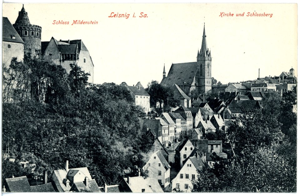 17230-Leisnig-1913-Schloß, Kirche, Schloßberg-Brück & Sohn Kunstverlag