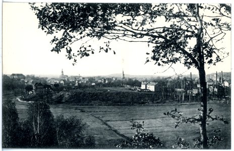 17223-Königsbrück-1913-Blick auf Königsbrück-Brück & Sohn Kunstverlag