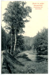15988-Weißeritztal-1913-Einmündung der Seerenbach-Brück & Sohn Kunstverlag