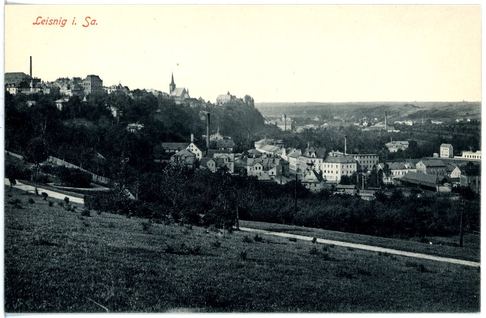 17235-Leisnig-1913-Blick vom Schloßberg-Brück & Sohn Kunstverlag