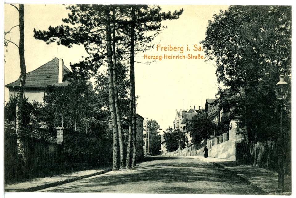 16764-Freiberg-1913-Herzog-Heinrich-Straße-Brück & Sohn Kunstverlag