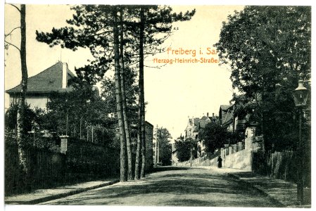 16764-Freiberg-1913-Herzog-Heinrich-Straße-Brück & Sohn Kunstverlag