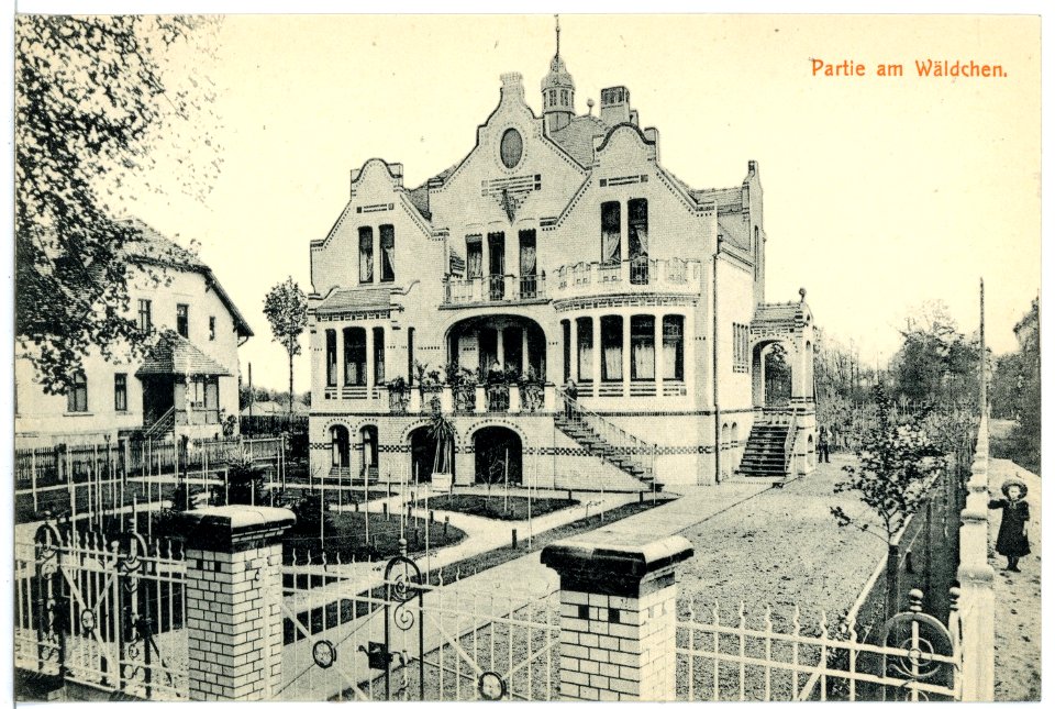 16758-Liebenwerda-1913-Partie am Wäldchen-Brück & Sohn Kunstverlag