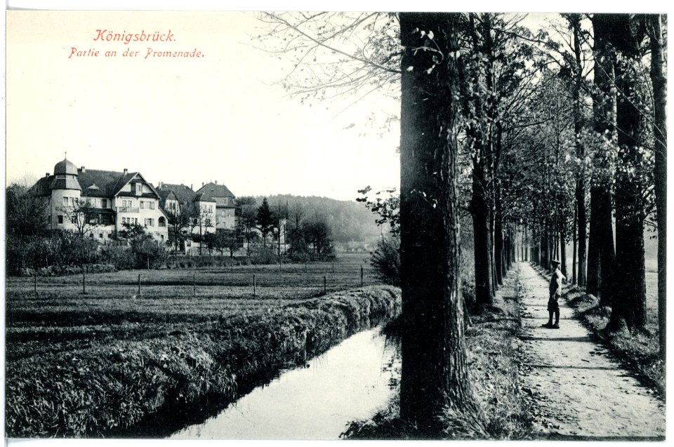 17225-Königsbrück-1913-Partie an der Promenade-Brück & Sohn Kunstverlag