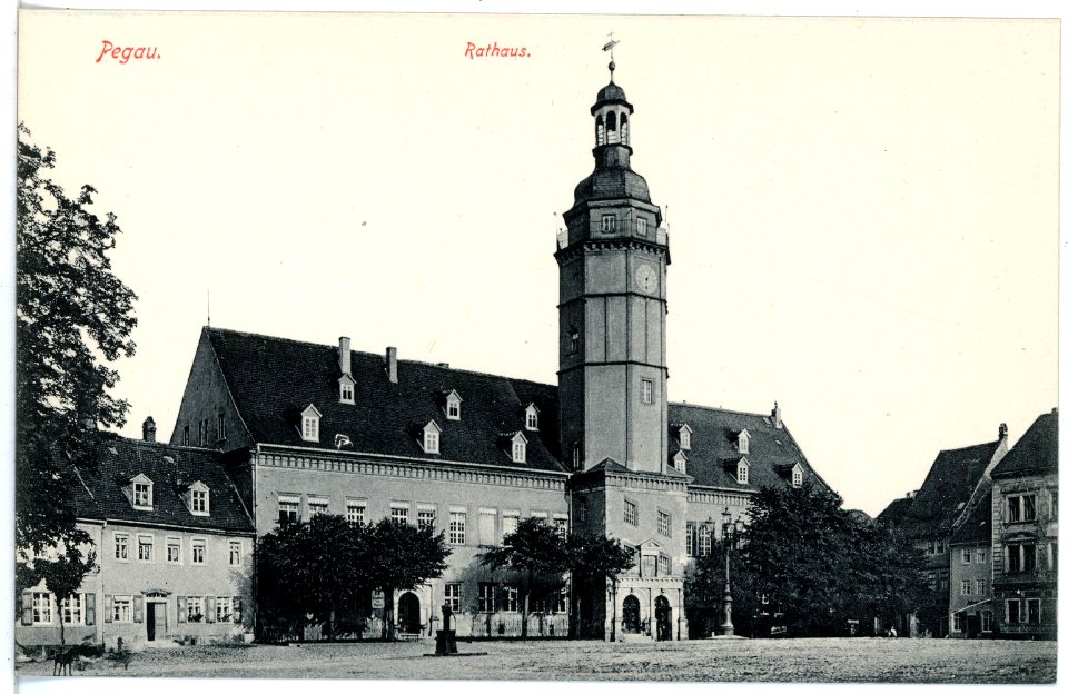 16354-Pegau-1913-Rathaus-Brück & Sohn Kunstverlag