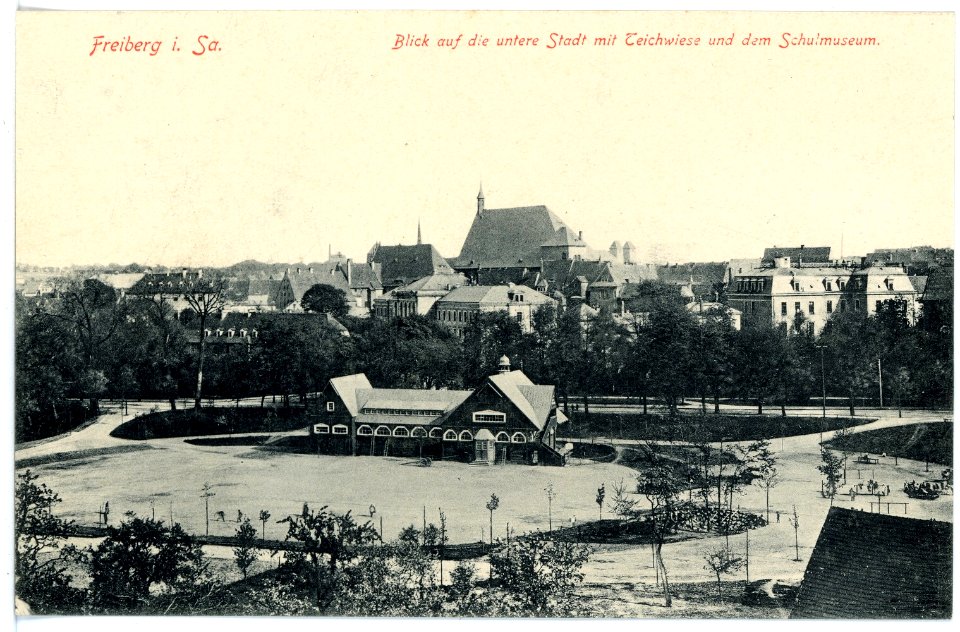 15777-Freiberg-1913-Untere Stadt mit Teichwiese und Schulmuseum-Brück & Sohn Kunstverlag