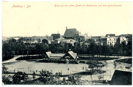 15777-Freiberg-1913-Untere Stadt mit Teichwiese und Schulmuseum-Brück & Sohn Kunstverlag