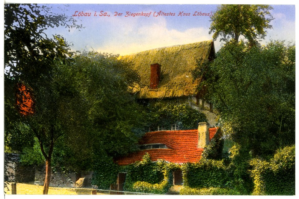 17017-Löbau-1913-Ziegenkopf (Ältestes Haus Löbaus)-Brück & Sohn Kunstverlag